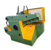Q43 Series Precision Alligator Shear for Metal Fabrication 