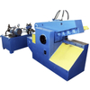 Q43 Series Heavy-Duty Metal Shear for Industrial Cutting
